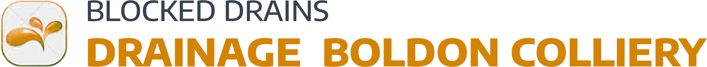website logo